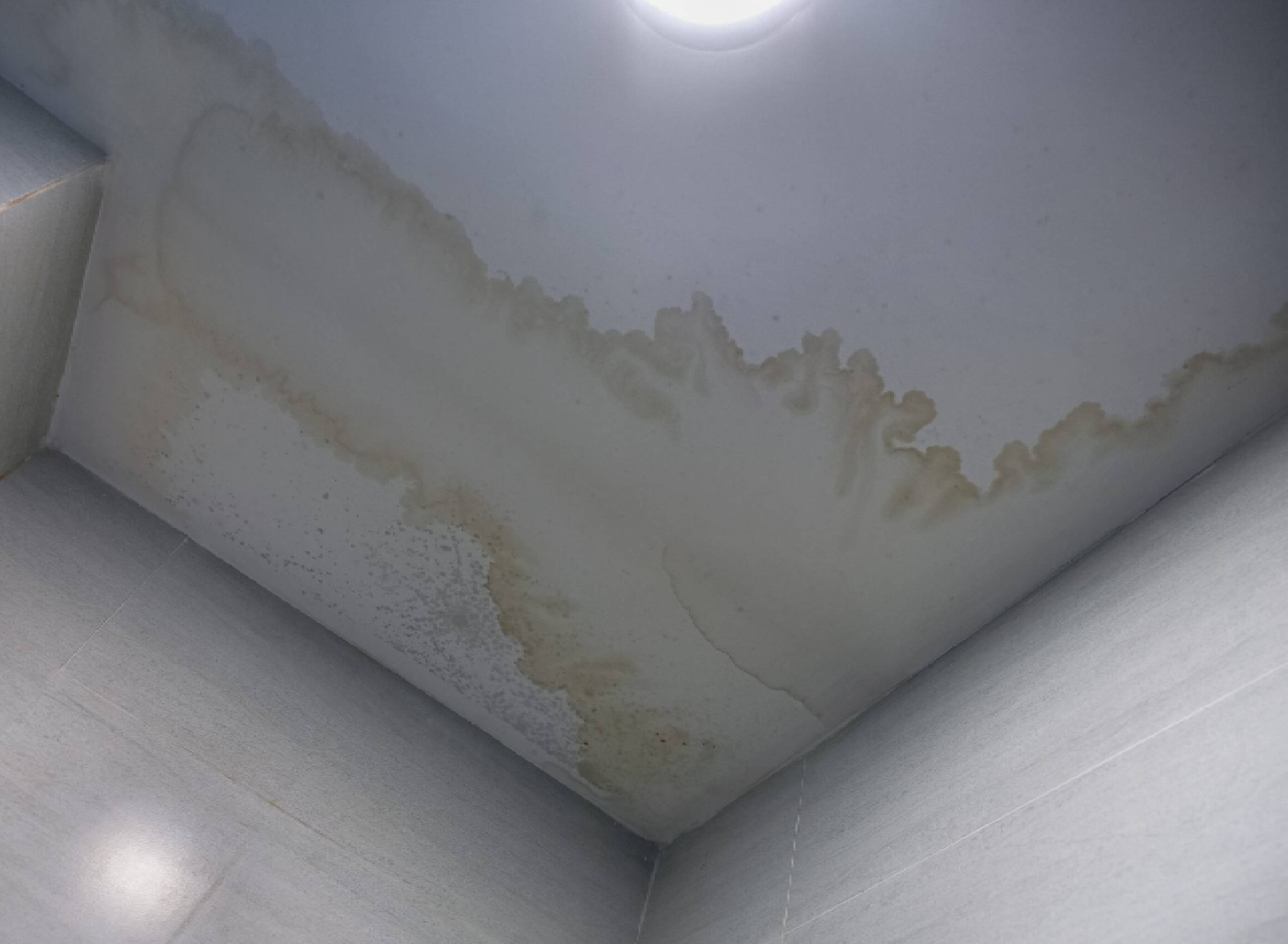 roof leak roof leak